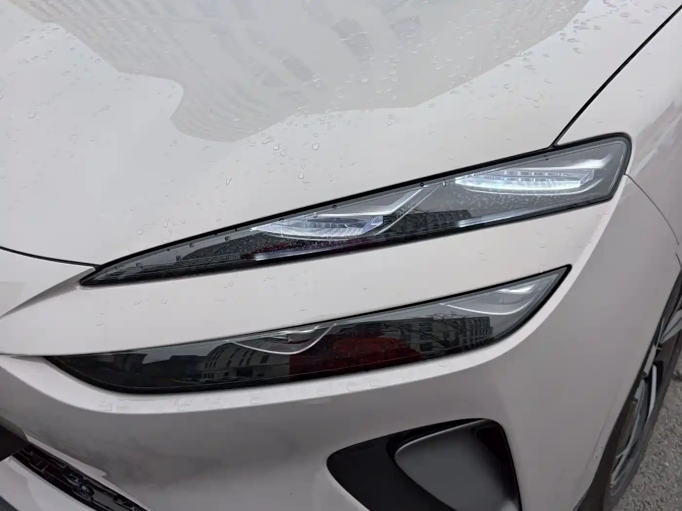 BYD SEA LION 06 NEW ENERGY