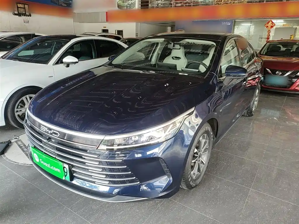 BYD Destroyer 05 2024 Glory Edition DM-i 55KM Luxury