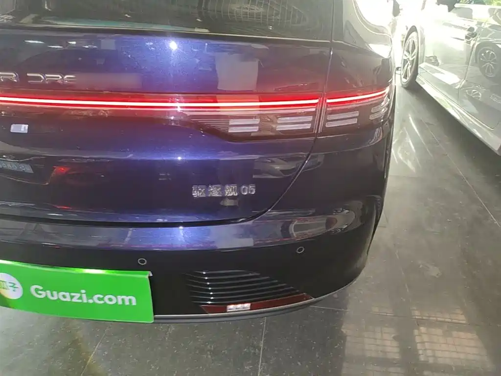 BYD Destroyer 05 2024 Glory Edition DM-i 55KM Luxury фото 8
