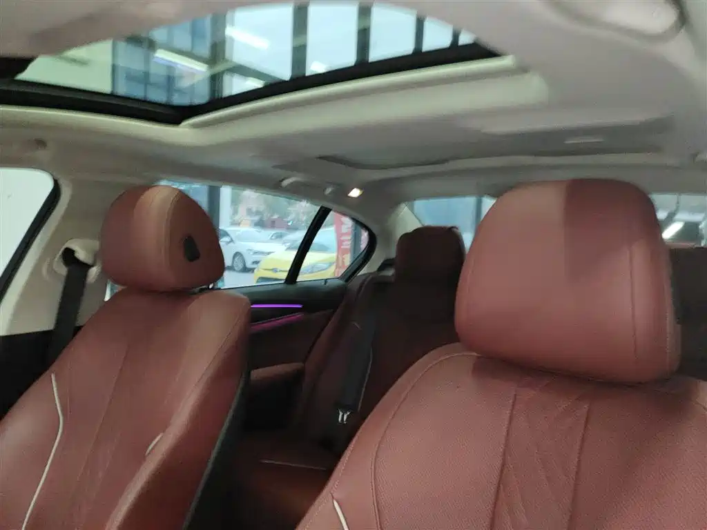 BMW 5 Series 2023 530Li Leading Luxury Package фото 18