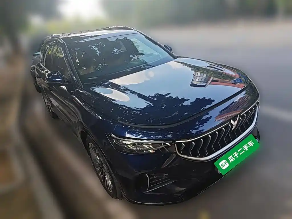 Voyah Auto VOYAH FREE 2021 AWD Standard Range Extender Exclusive Luxury Package фото 26