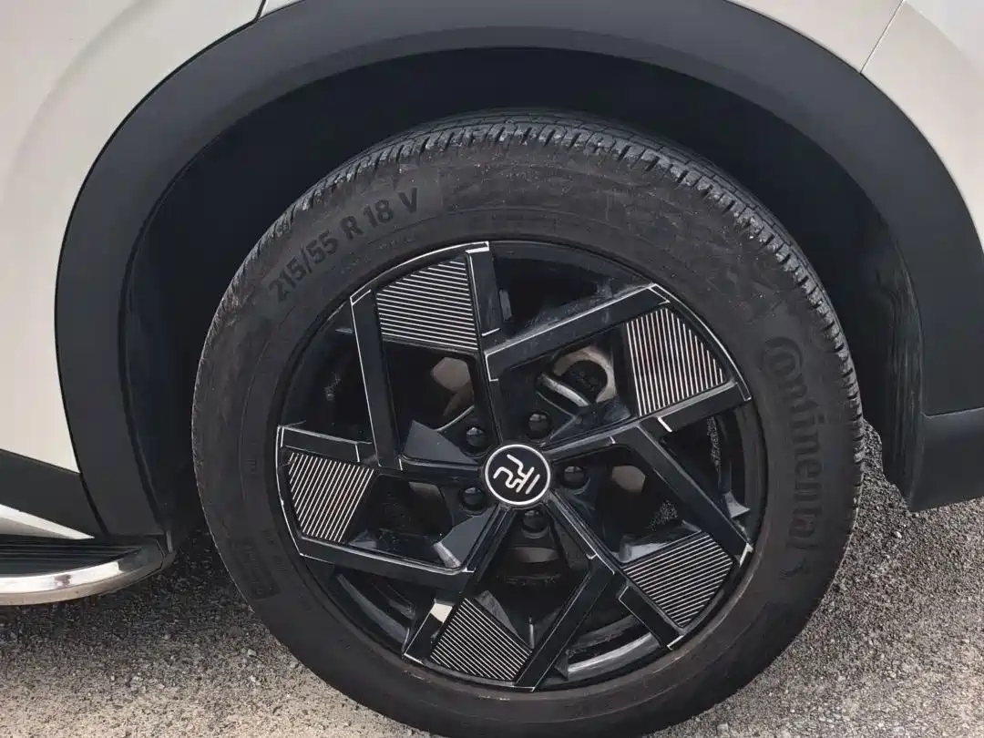 BYD Yuan PLUS 2022 2022 510KM Flagship