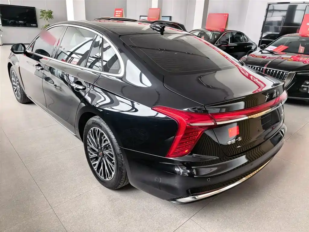 Hongqi H5 2024 2.0T Automatic Smart Connect Flag Smooth Edition фото 12