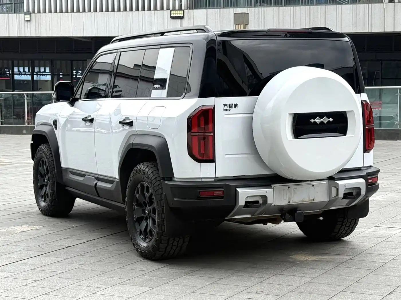 FANG CHENG BAO LEOPARD 5