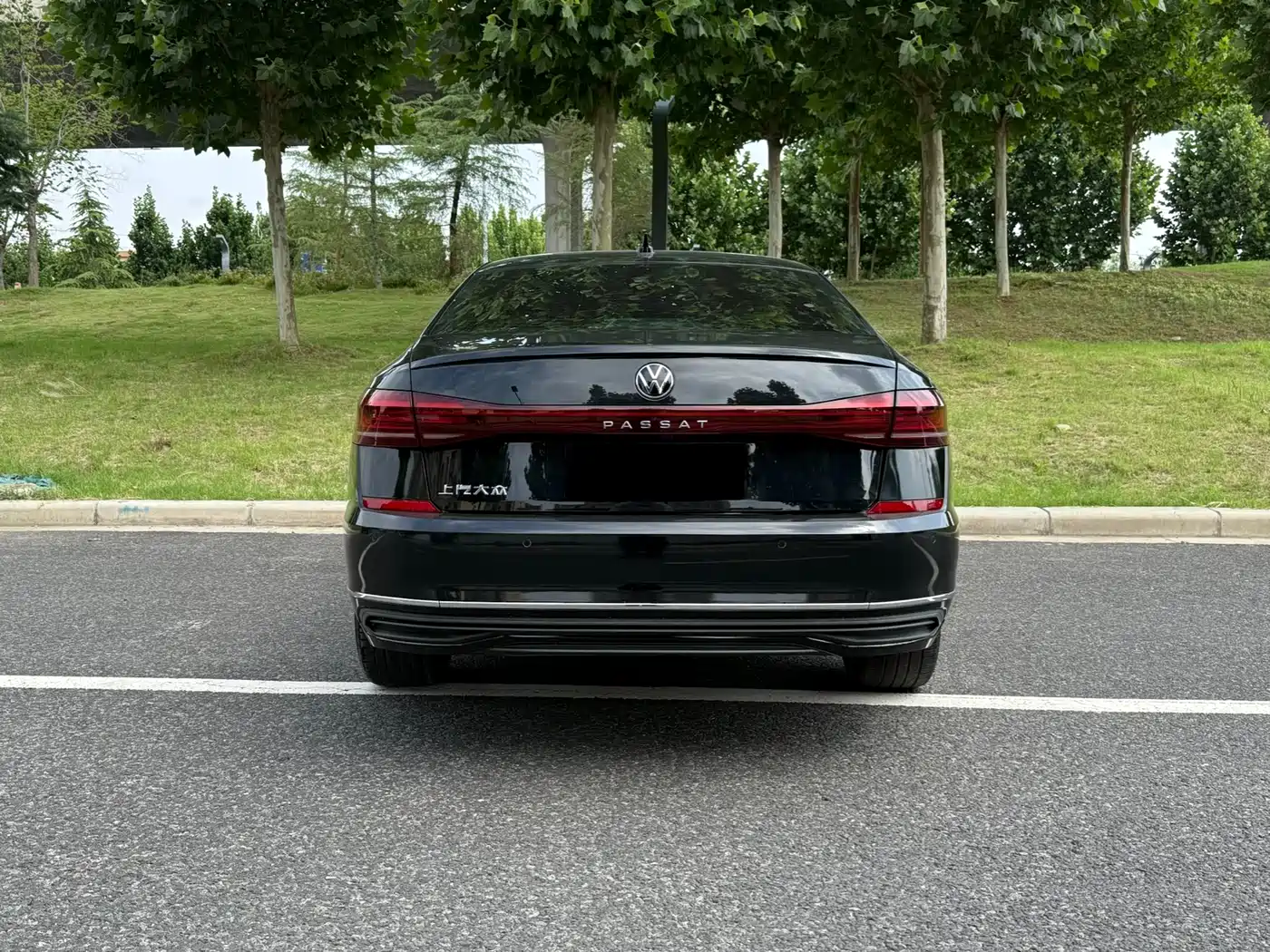 Volkswagen Passat 2024 330TSI Starlight Elite Edition фото 11