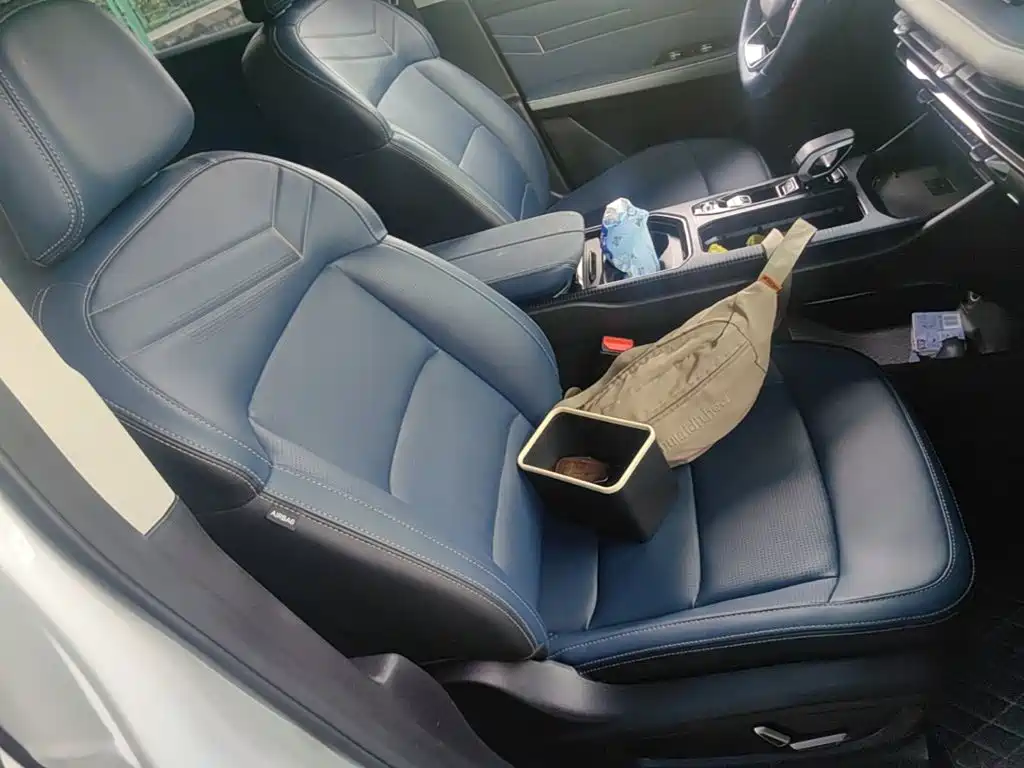 Ruilan Auto Ruilan 9 2024 2023 470km Executive Version