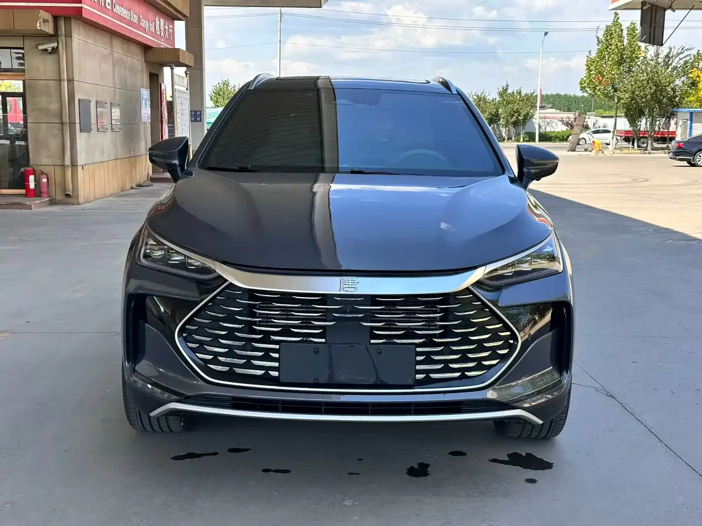 BYD Tang New Energy 2024 DM-i Honor Edition 112KM Premium фото 2
