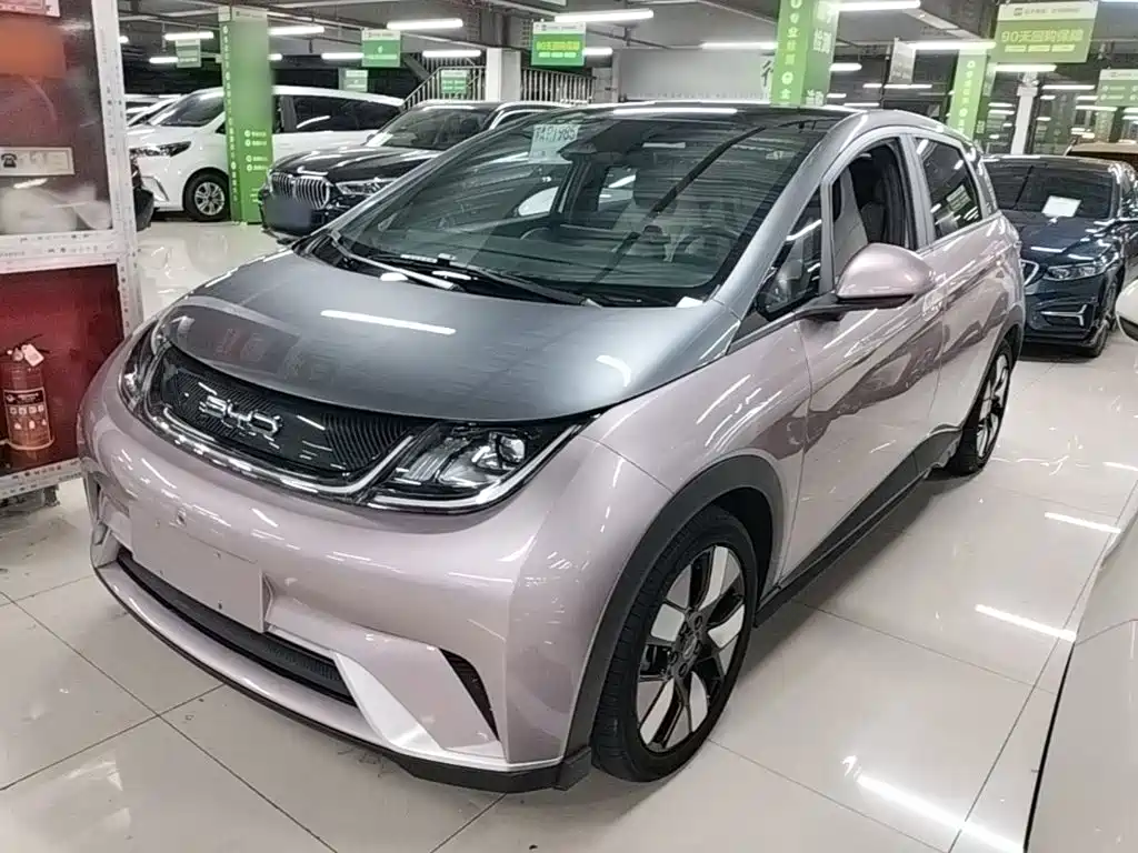 BYD Dolphin 2021 2021 401km Knight Edition