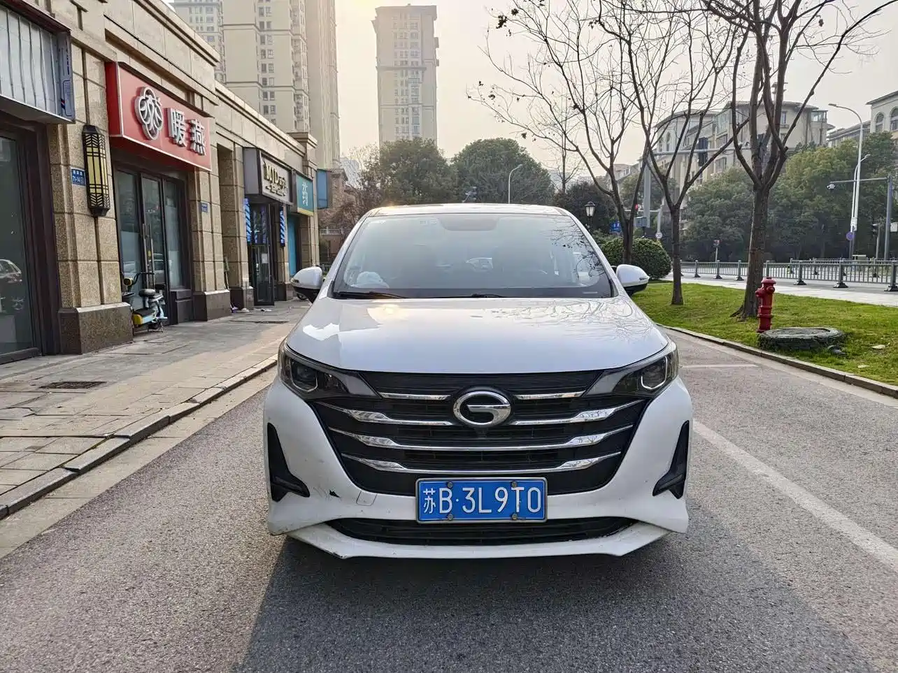 GAC Trumpchi Trumpchi M6 2019 270T Automatic Premium Edition (7-Seater) China V фото 2