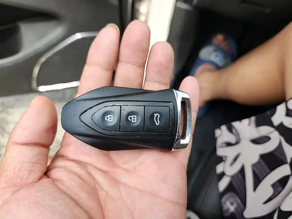Leopaard CS10 2017 2017 Model 2.0T Automatic Urban Edition