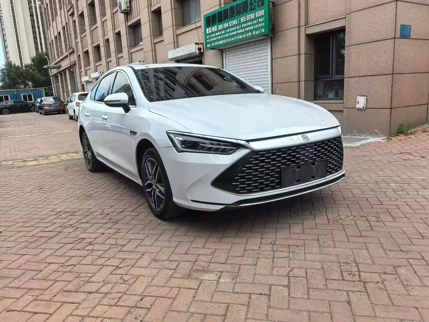 BYD Qin PLUS 2023 Champion Edition DM-i 55KM Leading