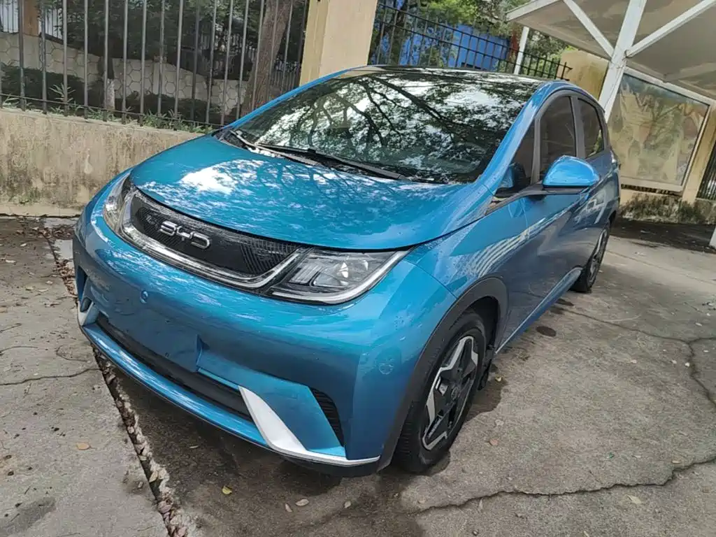 BYD Dolphin 2021