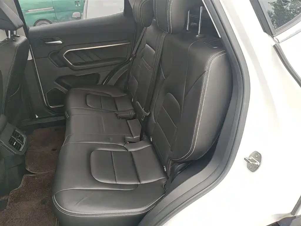 Haval H6 2019 Blue Label 1.5GDIT Automatic Luxury Smart Connect Edition фото 17