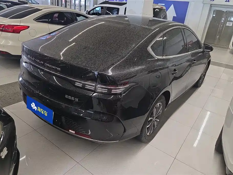 BYD Destroyer 05 2024 Glory Edition DM-i 55KM Luxury фото 3