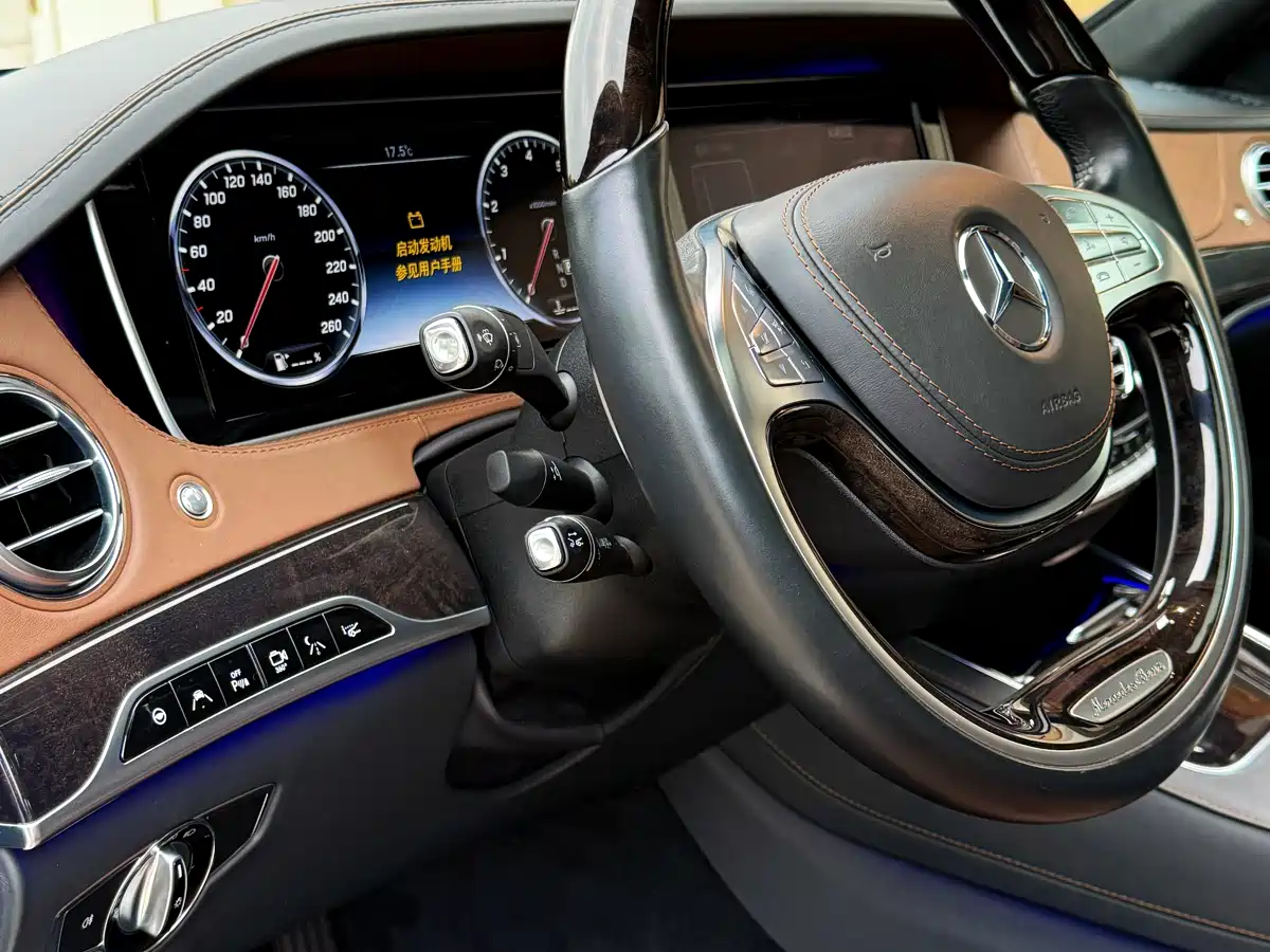 Mercedes-Benz S-Class 2014 S 600 L фото 16