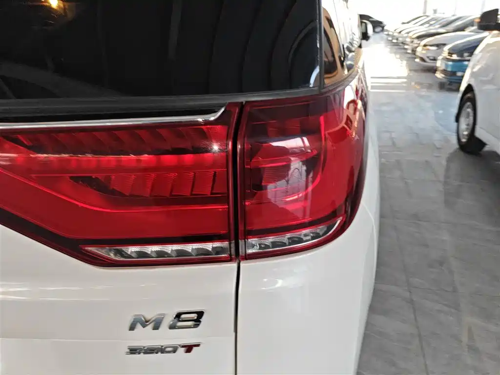 GAC Trumpchi Trumpchi M8 2021 Leading Show Series 390T Ultimate Edition фото 19