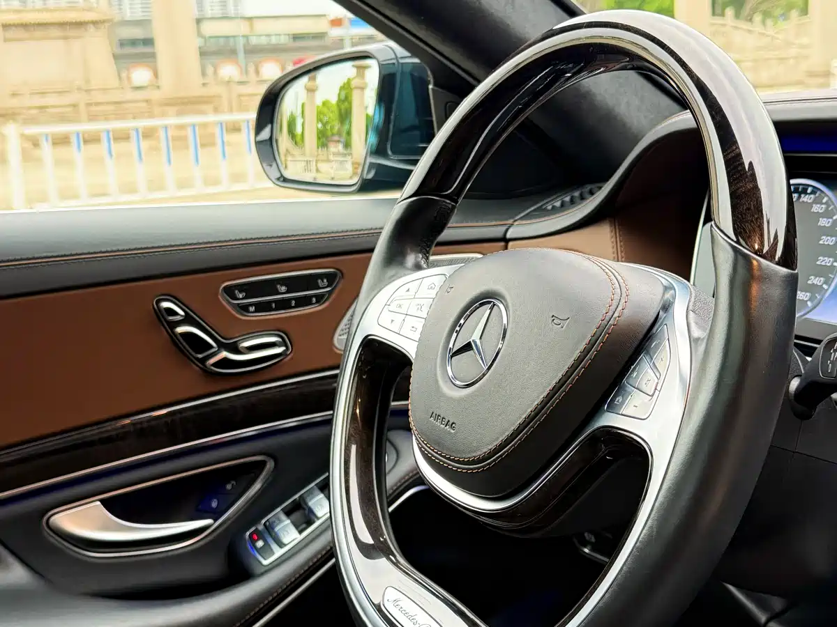 Mercedes-Benz S-Class 2014 S 600 L фото 19