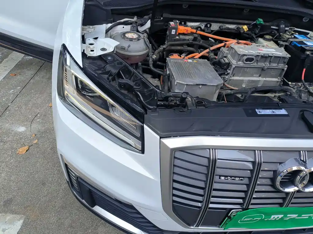 Audi Q2L e-tron 2021 2019 Q2L e-tron Pure Electric Smart Enjoyment