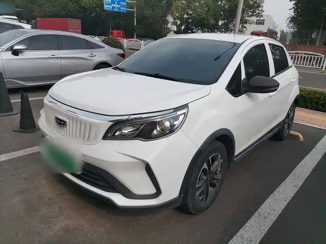  Geely Geometry EX3 Kung Fu Bull 2021 Strong Bull
