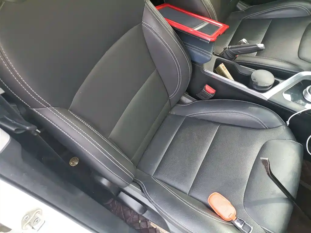 Geely Geometry EX3 Kung Fu Bull 2022 2021 Strong Bull