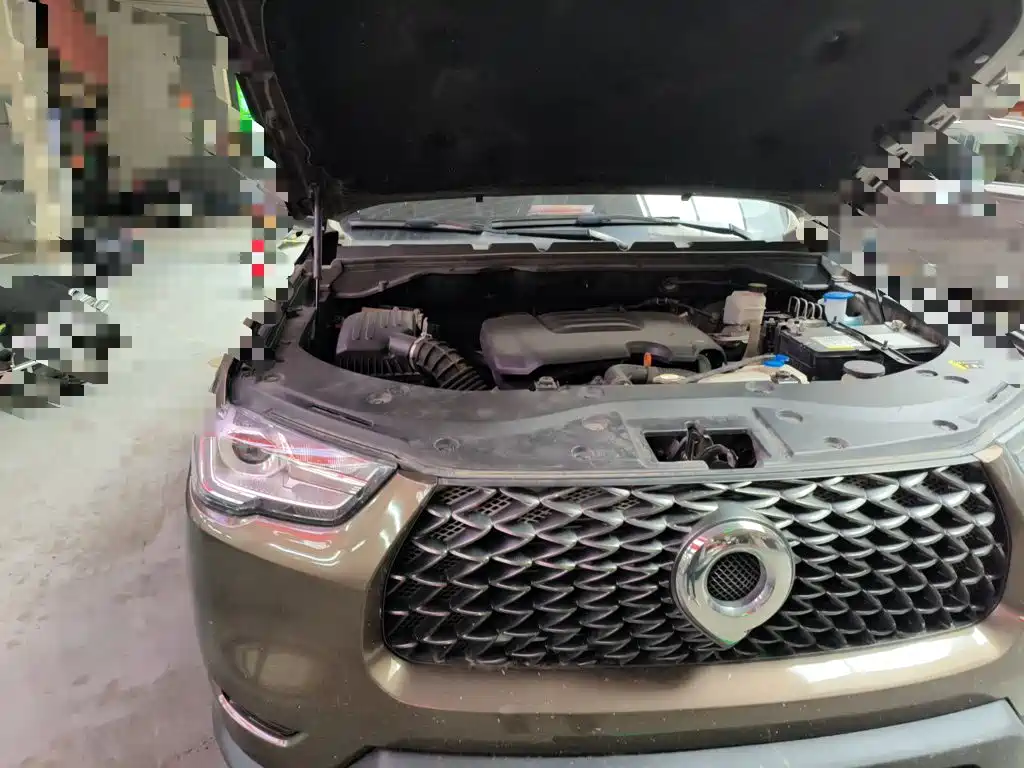  Great Wall Pao 2021 2.0T Commercial Edition Manual Gasoline 4WD Elite Long Box GW4C20B 21