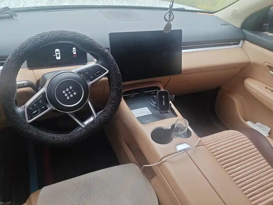 Landian E5 PLUS 2024 2025 165km Long Range 5-seater