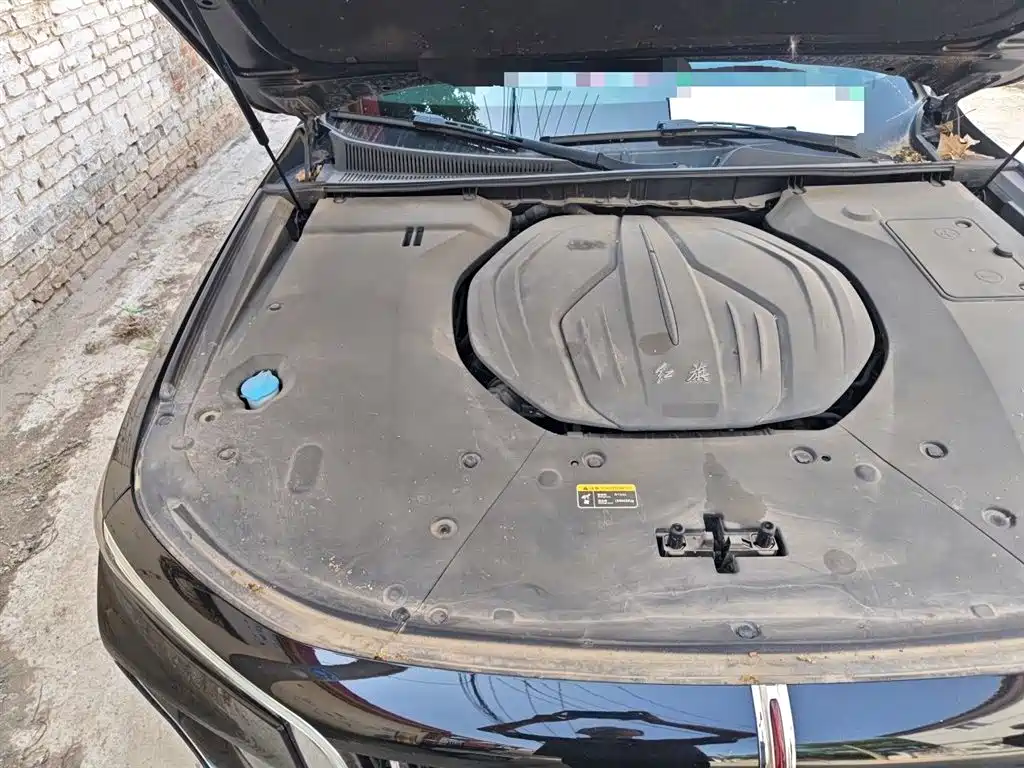 Hongqi H9 2020 2.0T Smart Connection Qi Xiang Edition фото 20