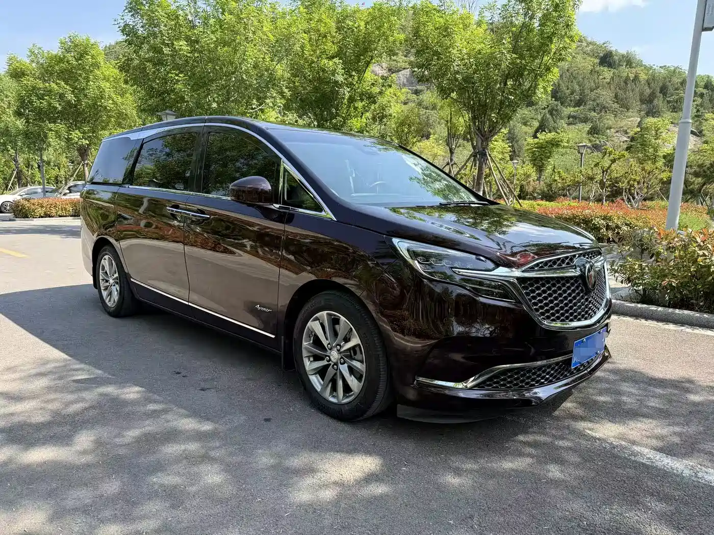 Buick GL8 2020 Avenir Six-Seat Elegance Edition фото 3