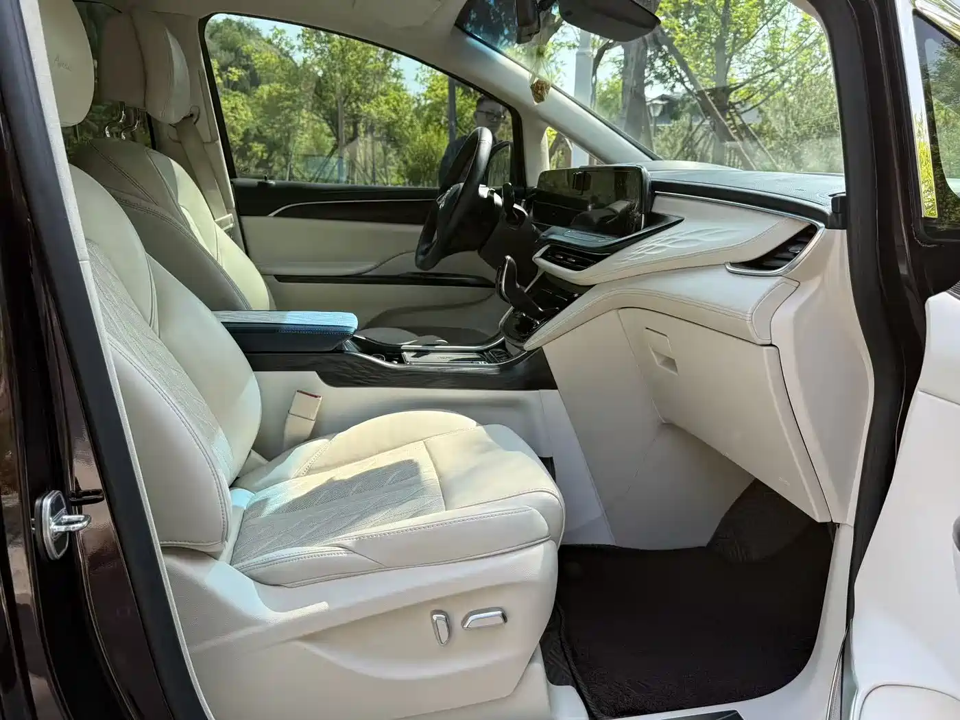 Buick GL8 2020 Avenir Six-Seat Elegance Edition фото 8