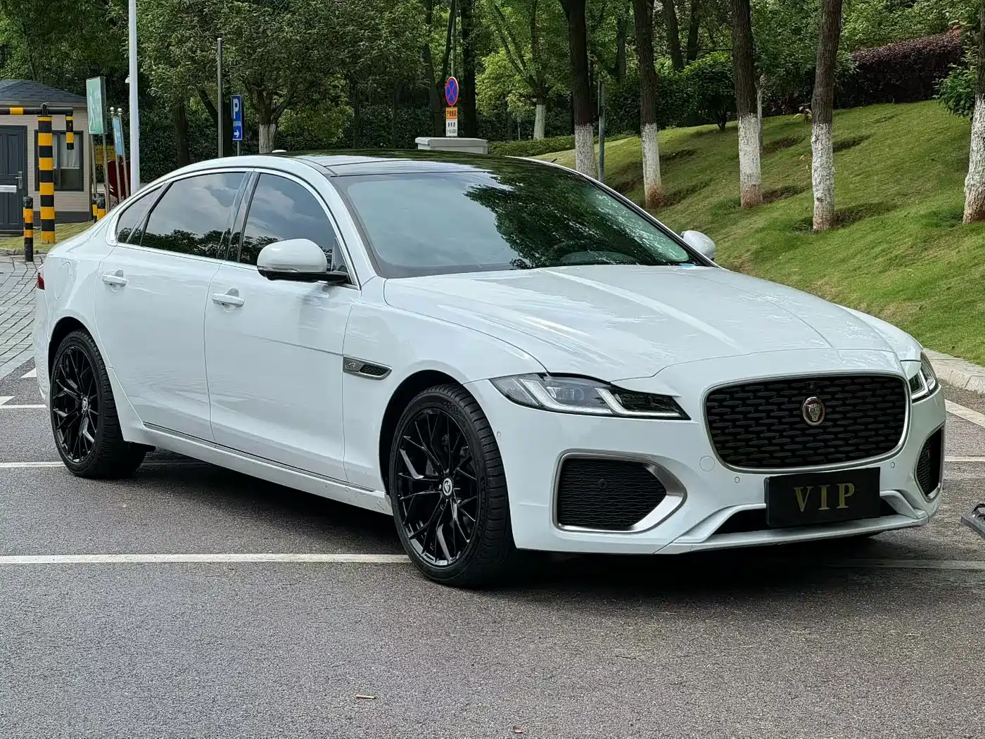 Jaguar XFL 2024 2.0T P250 2WD Premium Luxury фото 3