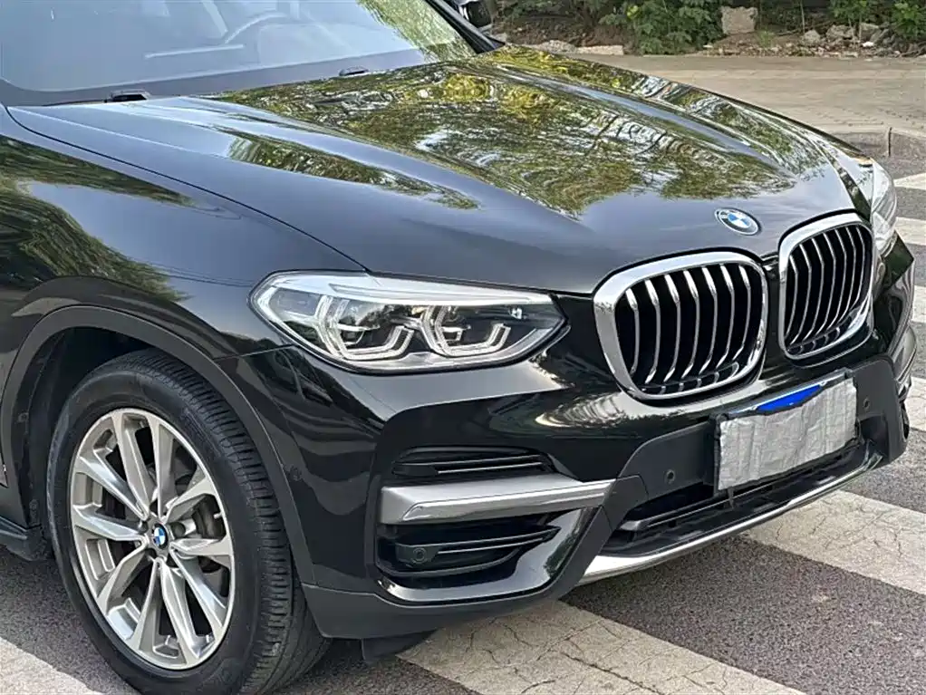 BMW X3 2019 xDrive25i Luxury Package фото 8