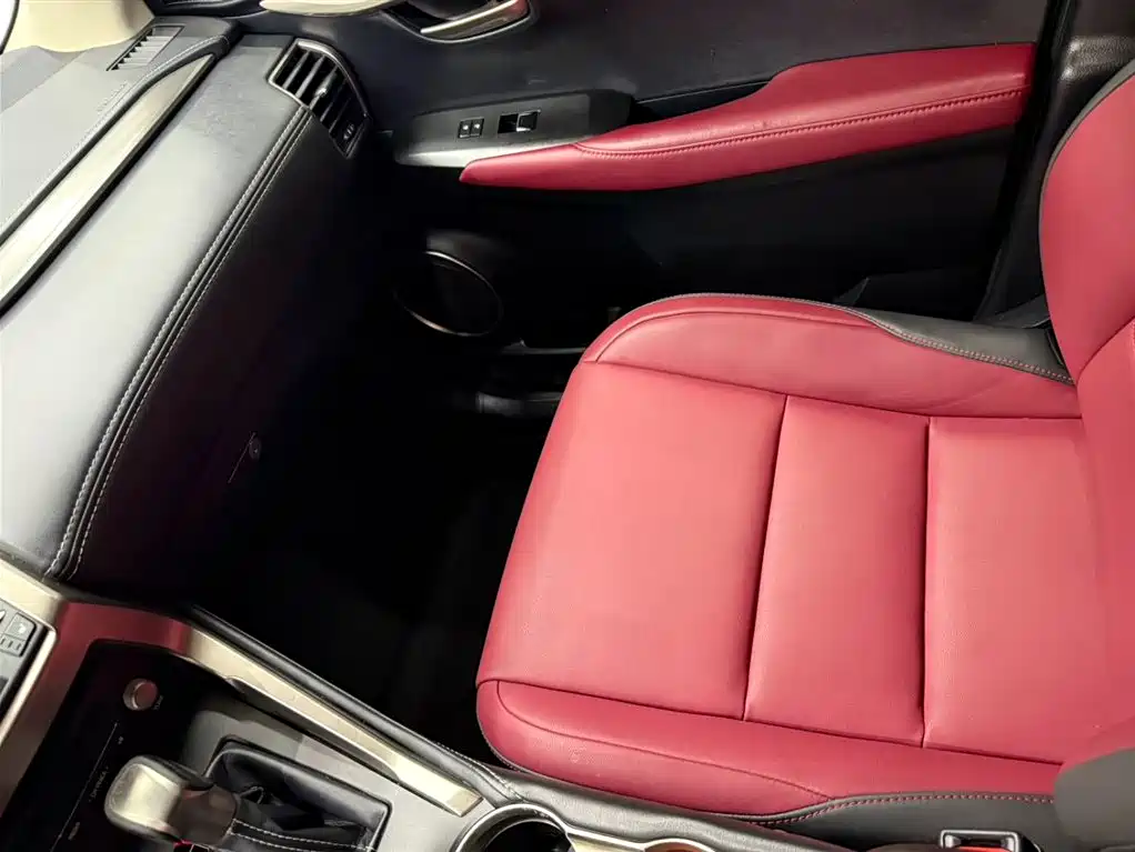 Lexus NX 2020 200 AWD F Sport China VI фото 13