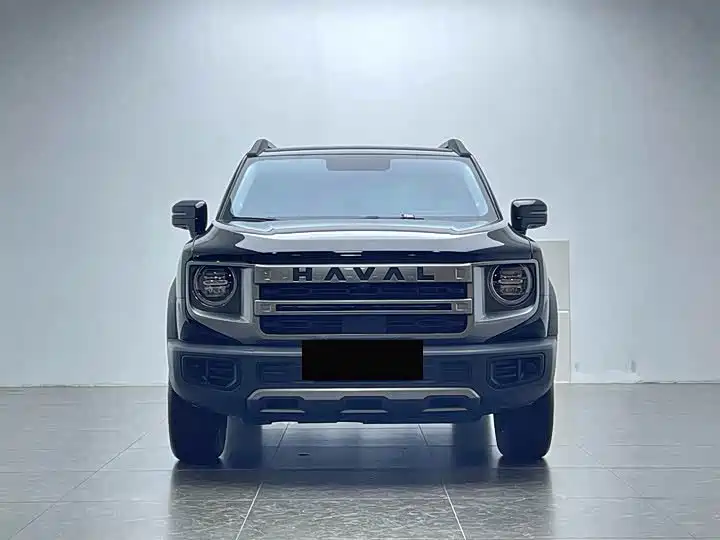 Haval Big Dog 2024 Model 1.5T DCT Labrador Edition фото 2