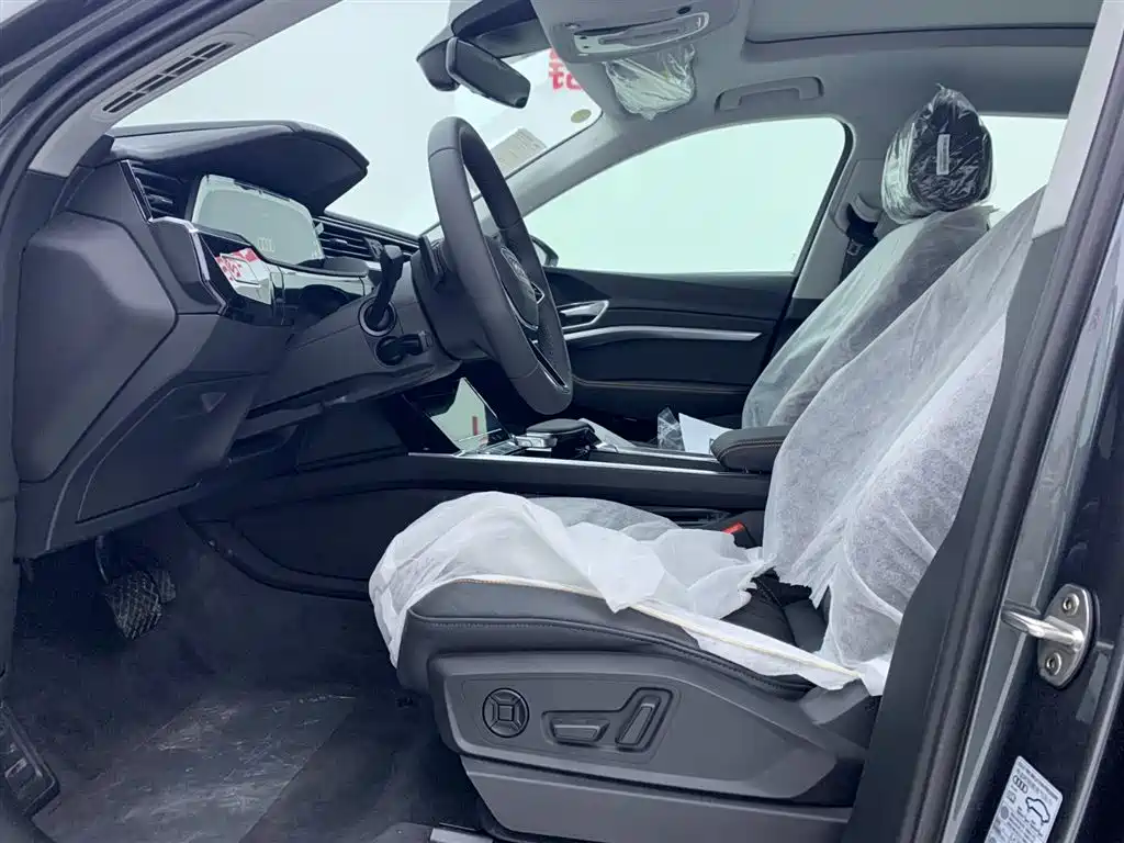 Audi e-tron 2021 50 quattro Luxury фото 11
