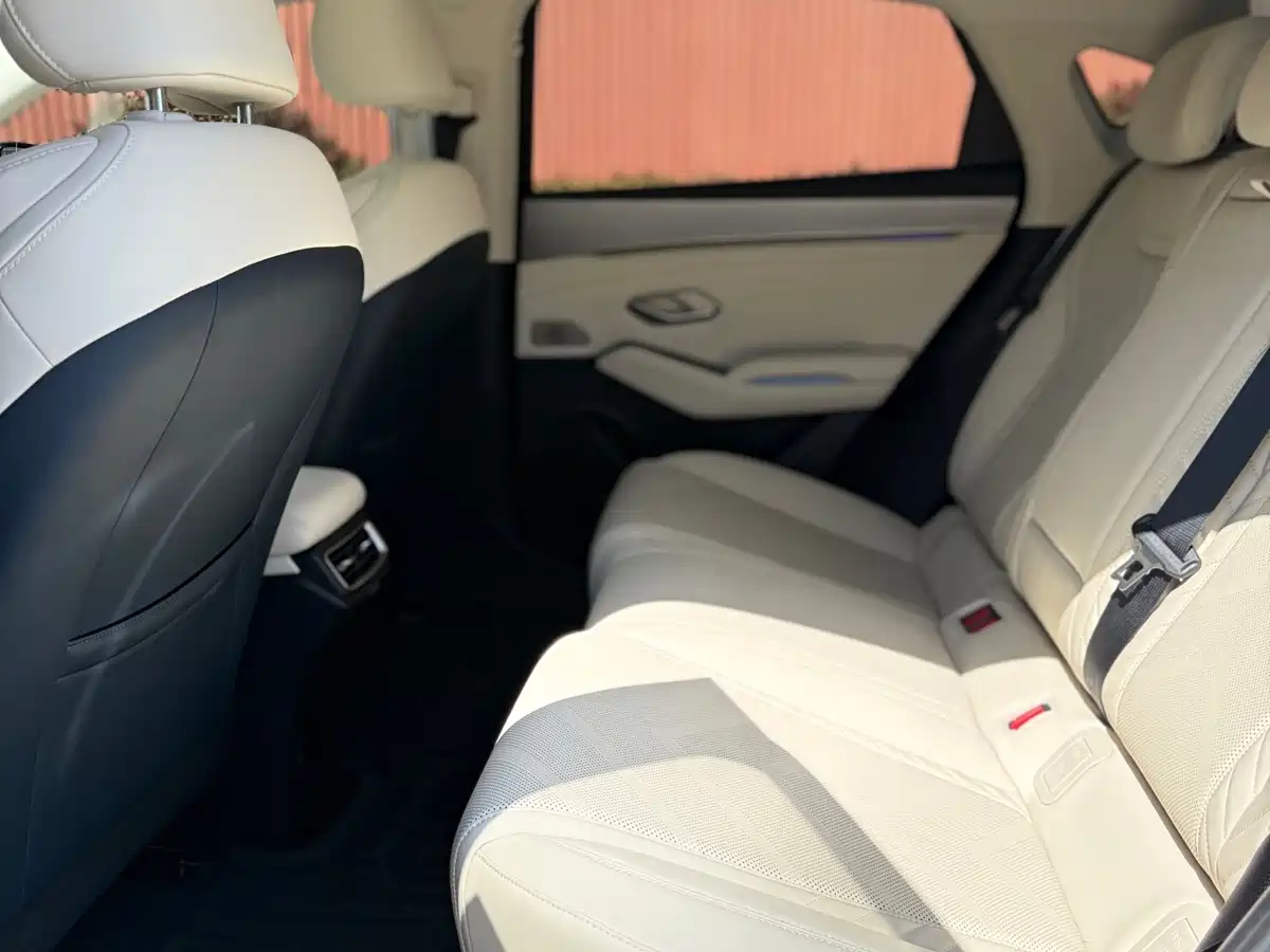 BYD Qin L 2024 DM-i 120KM Excellence Model фото 23