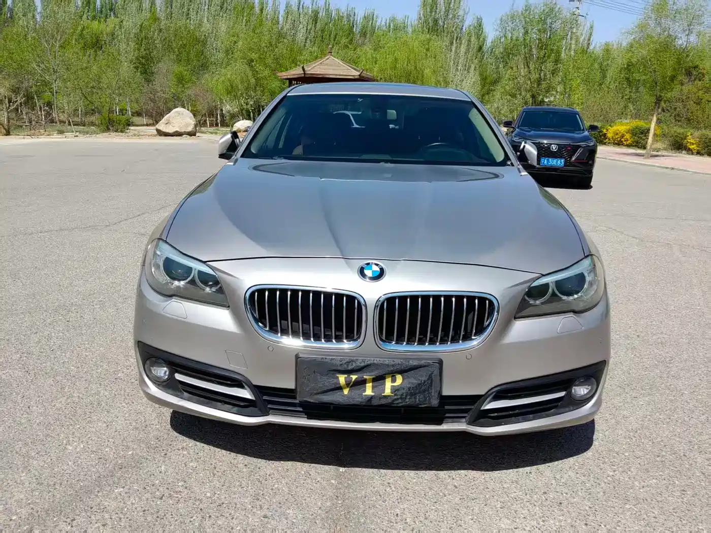 BMW 5 Series 2014 525Li Leading фото 2