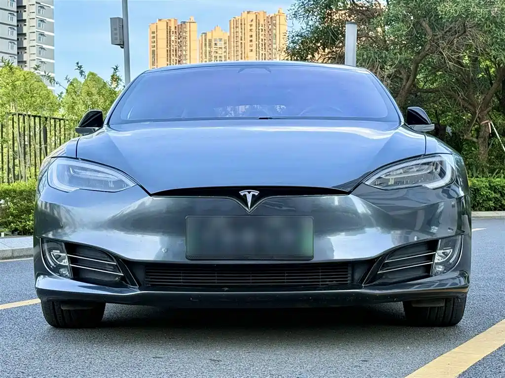 Tesla Model S 2019 2019 Long Range Version