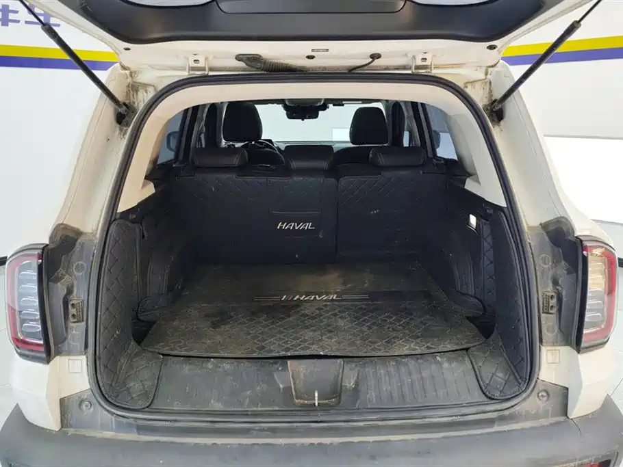 Haval Big Dog 2021 1.5T DCT 2WD Labrador Edition фото 4
