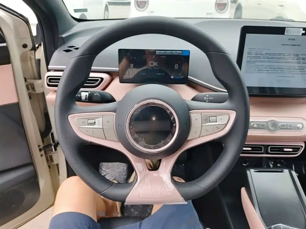 BYD Seagull 2025 Smart Drive Edition 305km Vitality Version фото 11