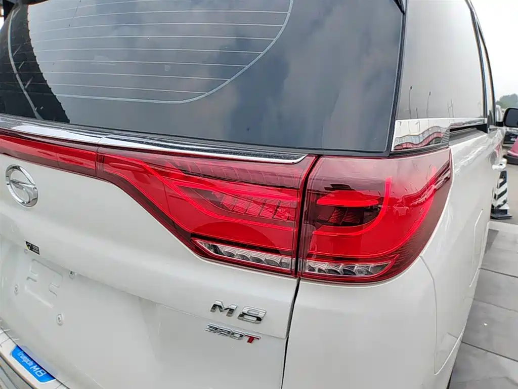 GAC Trumpchi Trumpchi M8 2023 Leading Series 390T Luxury Edition фото 8