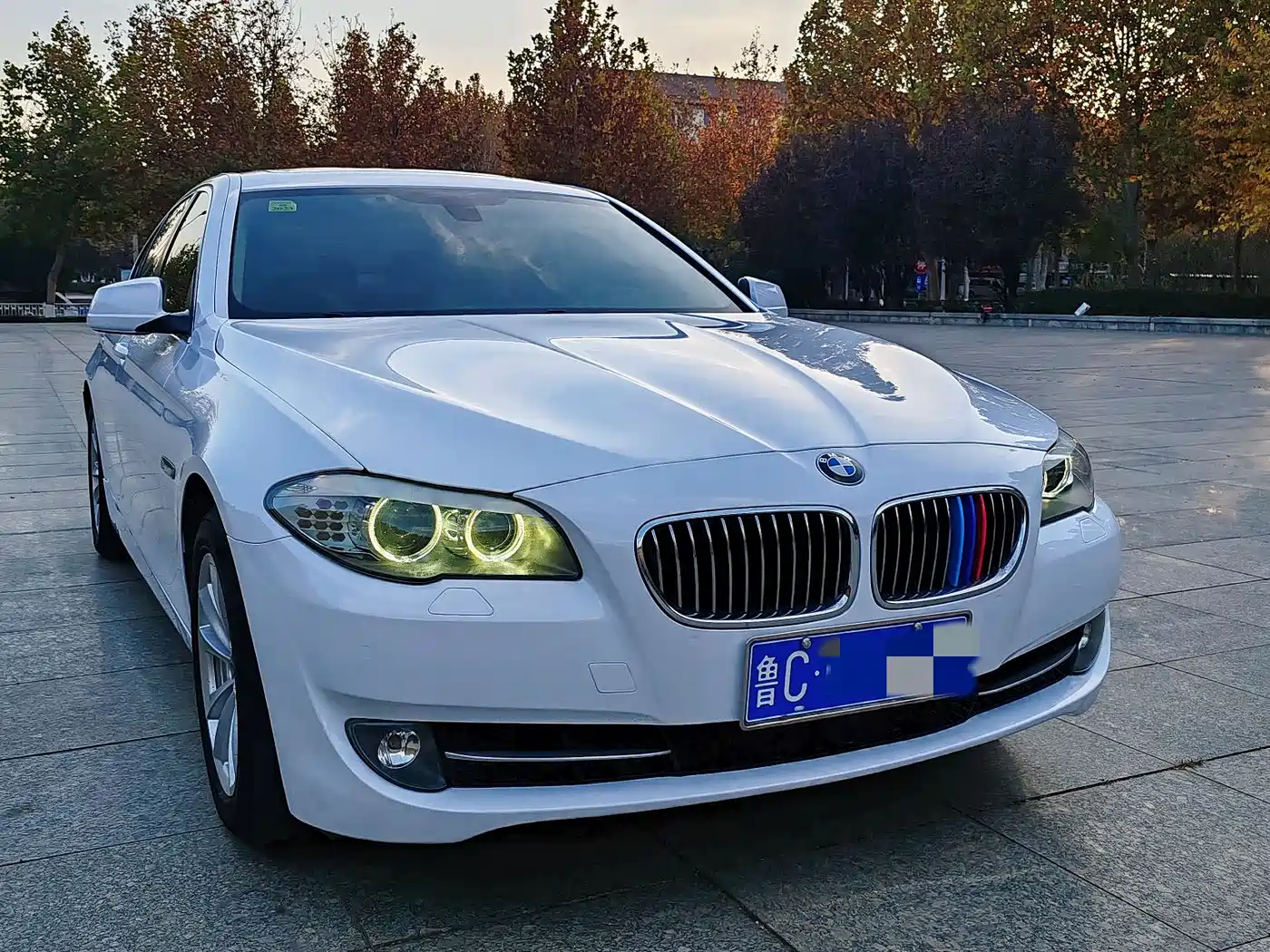 BMW 5 Series 2013 520Li Elegance фото 3