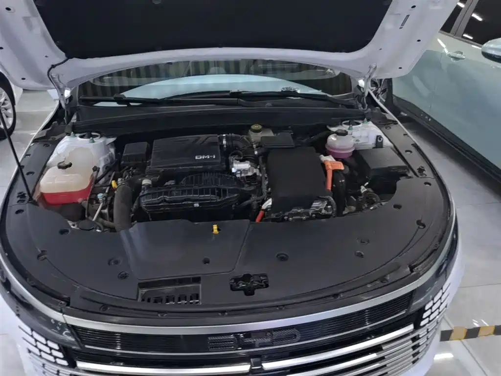 BYD Destroyer 05 2024 Glory Edition DM-i 55KM Luxury фото 20