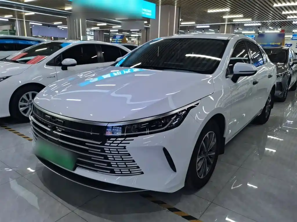 BYD Destroyer 05 2024 Glory Edition DM-i 55KM Luxury