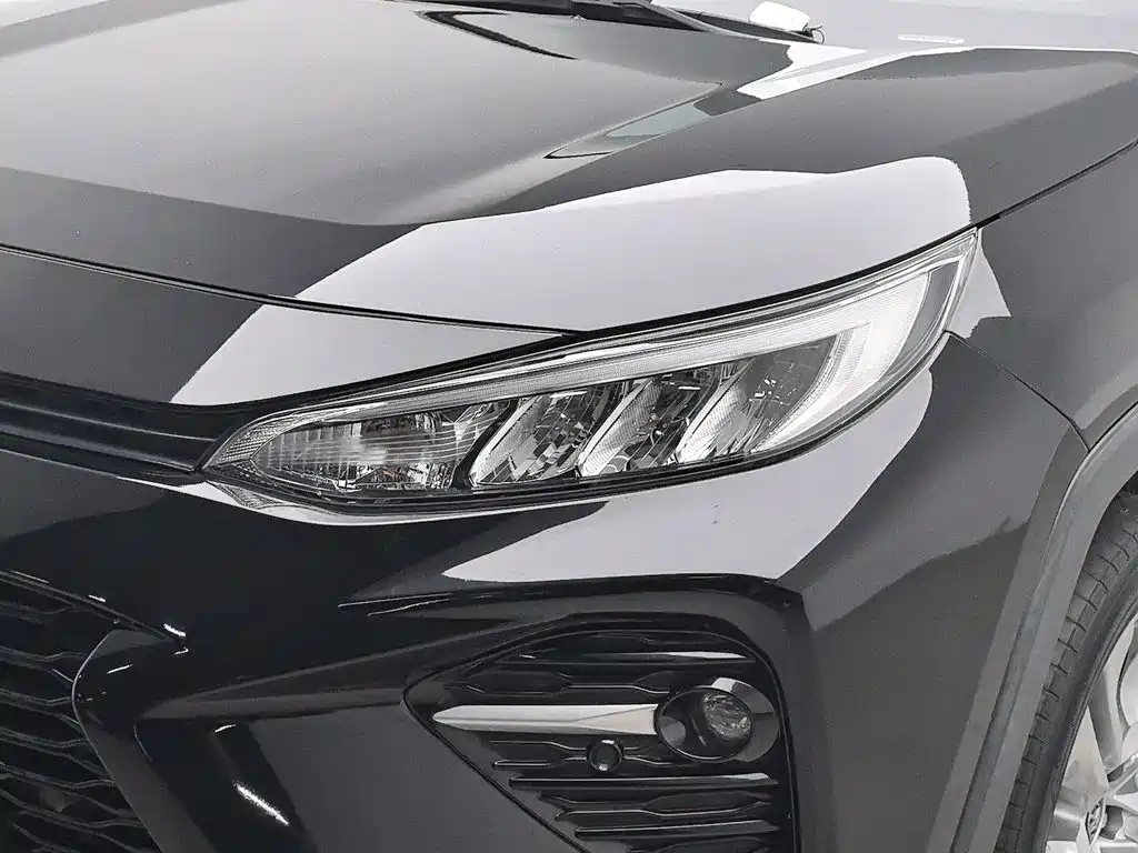 Toyota Wildlander 2021 2020 2.0L CVT AWD Luxury Edition