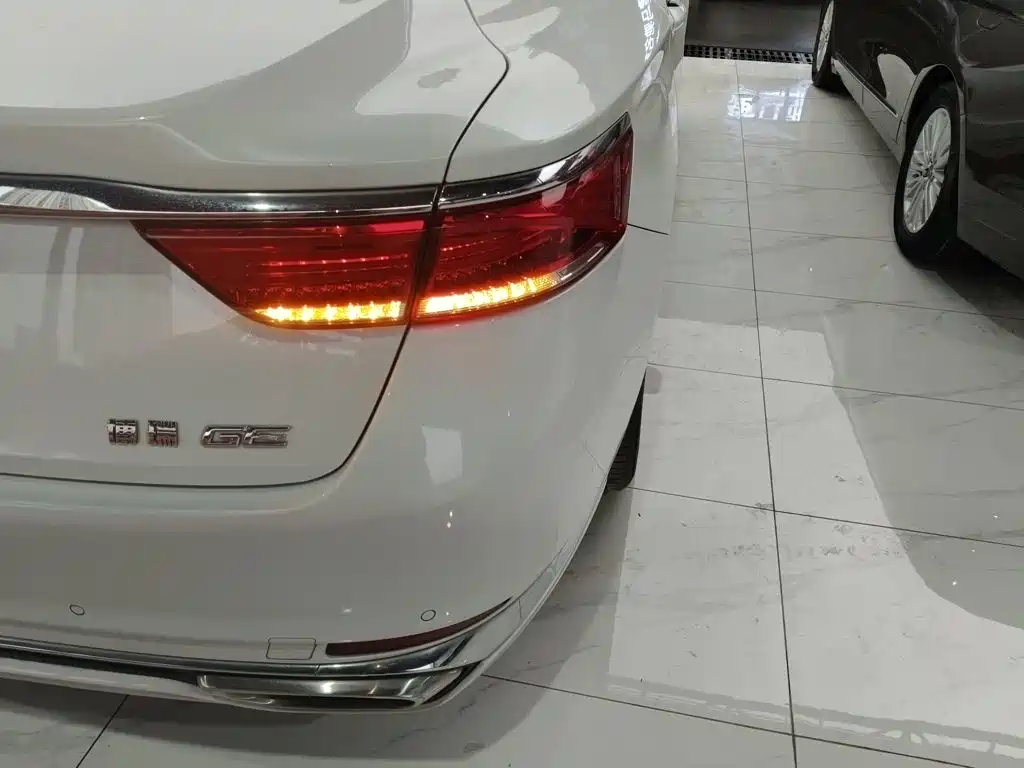 Фото 24 - Geely Borui