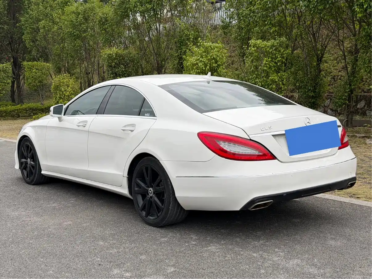 Mercedes-Benz CLS 2012 CLS 300 CGI фото 4