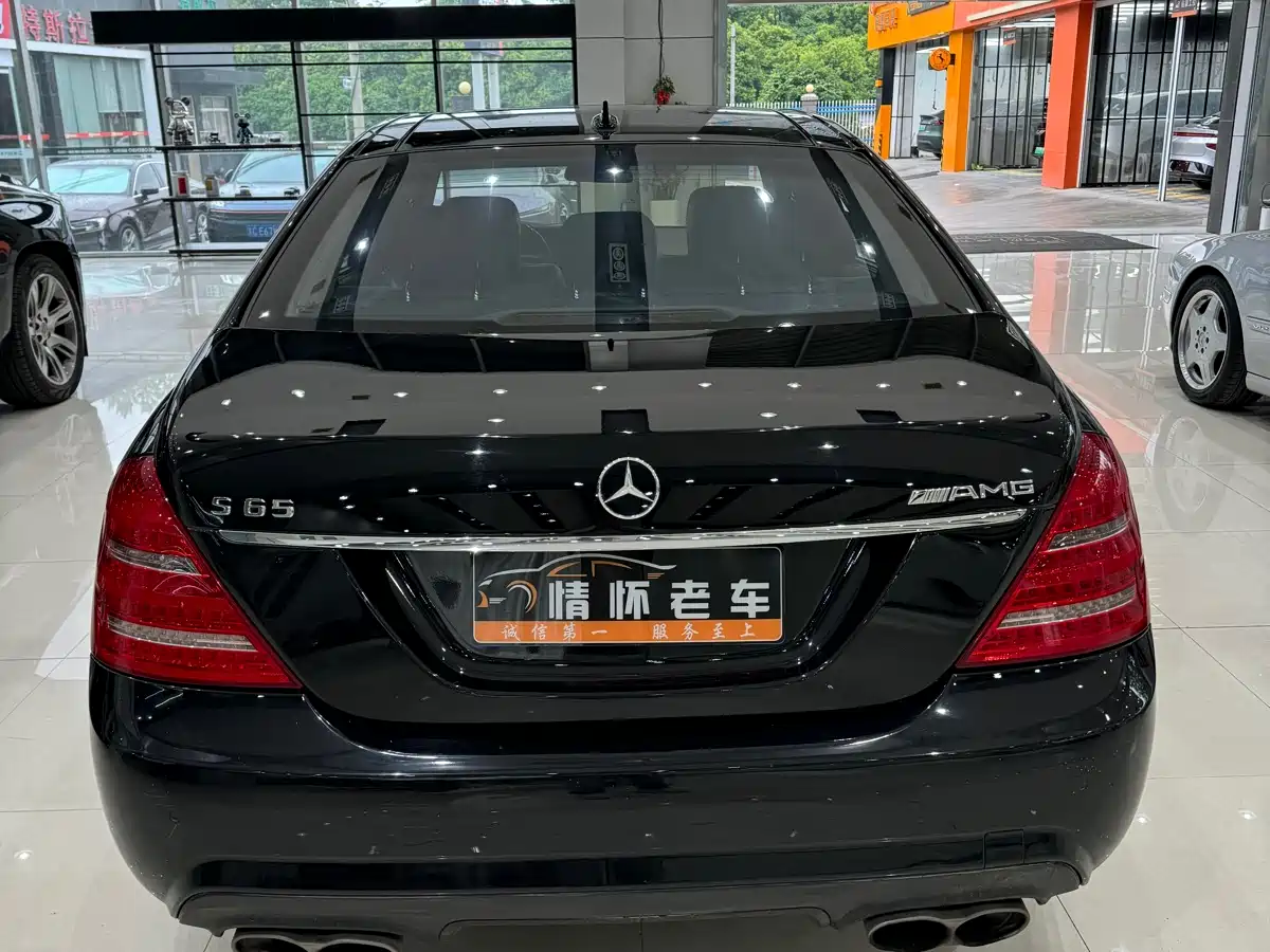 Mercedes-Benz S-Class AMG 2010 AMG S 65 фото 5
