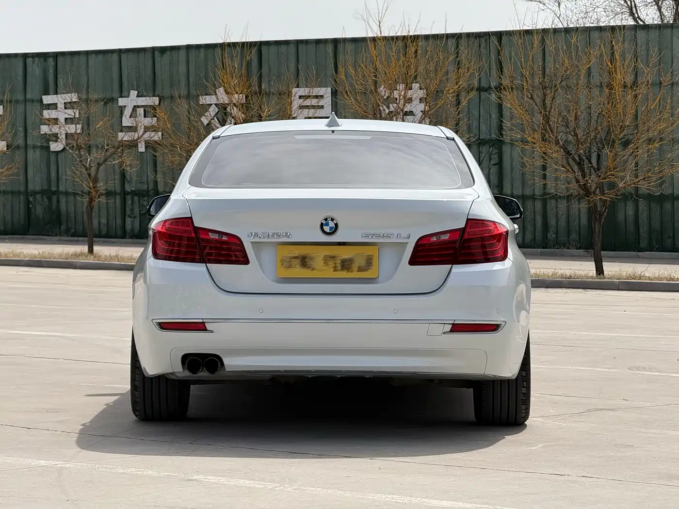 BMW 5 Series 2014 525Li Luxury Design Package фото 2