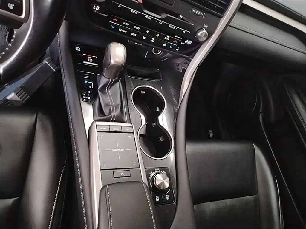 Lexus RX 2020 Facelift 300 2WD Elite Edition фото 14