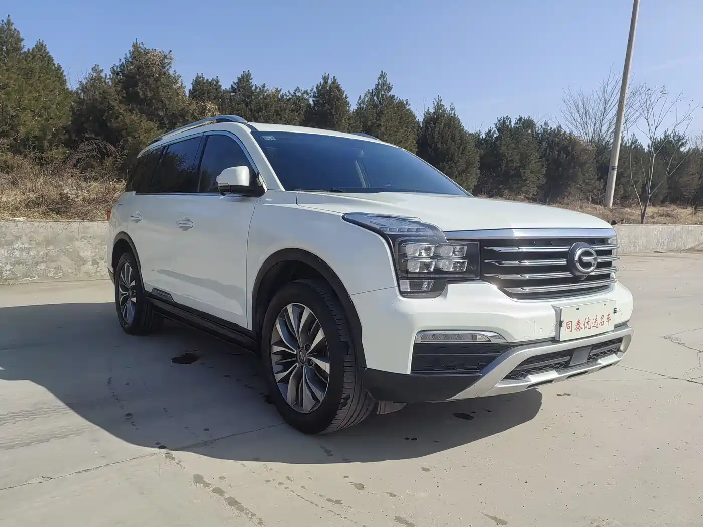GAC Trumpchi Trumpchi GS8 2017 320T AWD Luxury Smart Connect (7-Seater) фото 3